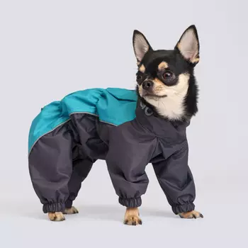 Rungo Дождевик для собак пород чихуахуа, йорк, обхват шеи 36 см, обхват груди 55 см, длина спины 31 см, бирюза (мальчик)