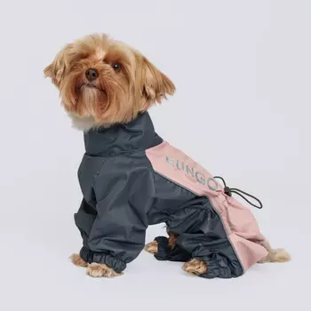 Rungo Дождевик для собак породы йорк, чихуа, M, пудрово-серый (мальчик)