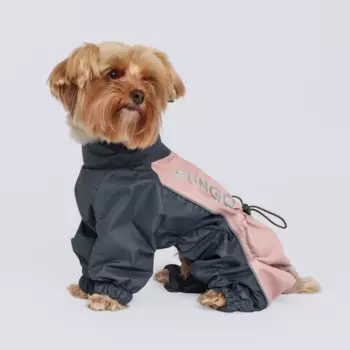 Rungo Дождевик для собак породы йорк, чихуа, XL, пудрово-серый (мальчик)