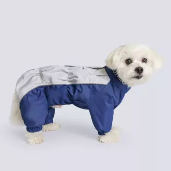 Rungo Дождевик для собак породы шитцу, обхват шеи 37 см, обхват груди 58 см, длина спины 32 см, синий (мальчик)