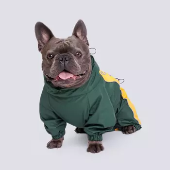 Rungo Дождевик Француз бульдог мальчик горчица