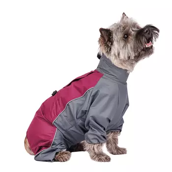 Rungo Дождевик Пудель карликовый девочка винная ягода