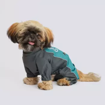 Rungo Дождевик Шитцу мальчик голубой горизонт