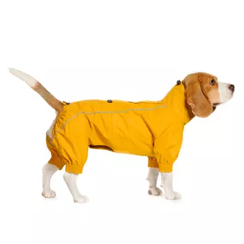 Rungo Дождевик Такса большая мальчик глубокий океан