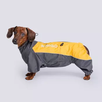 Rungo Дождевик Такса кроличья девочка десертная роза