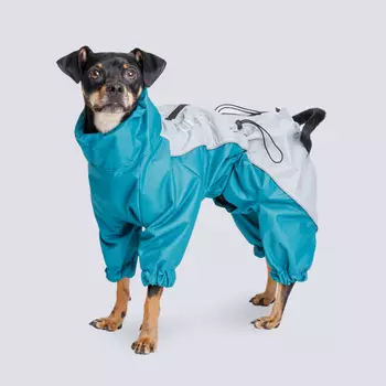 Rungo Дождевик Вестхайл,Джек Рассел мал голубой горизонт