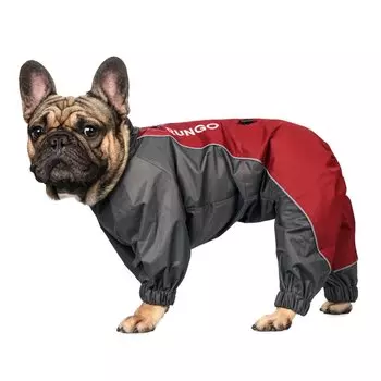 Rungo Комбинезон теплый Французский бульдог девочка темно-серый/бордовый