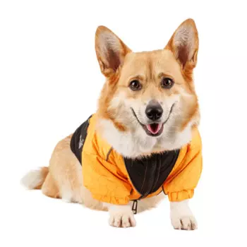 Rungo Куртка на молнии для собак 2XL желтый (унисекс)