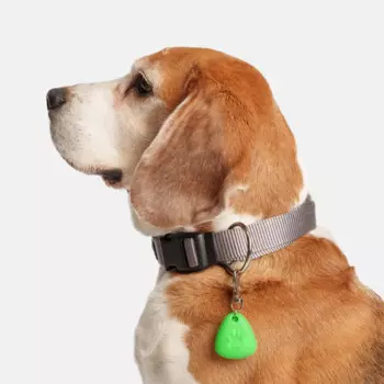 Rungo Маячок светящийся из силикона для кошек и собак, 4х3,5х1,5 см, длина с креплением 7,5 см, цвет в ассортименте