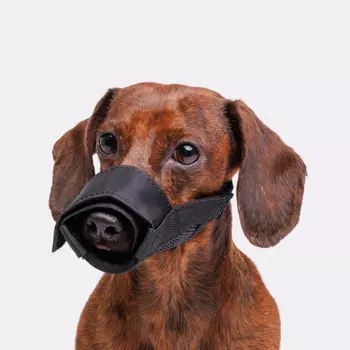 Rungo Намордник для собак нейлоновый, S, обхват морды 18-20 см