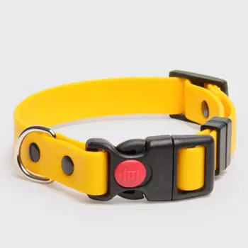 Rungo Ошейник для собак из биотана с фастексом, обхват шеи 37-55 см, ширина 2,5 см, желтый