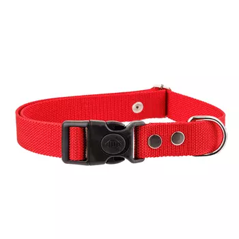 Rungo Ошейник для собак нейлоновый, L, обхват шеи 33-55 см, ширина 2,5 см, красный