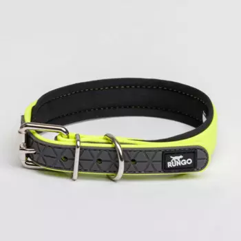 Rungo Ошейник для собак, обхват шеи 45 см, ширина 2 см, желтый