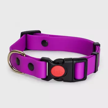 Rungo Ошейник из биотана для собак, обхват шеи 30-42 см, ширина 2 см, фиолетовый
