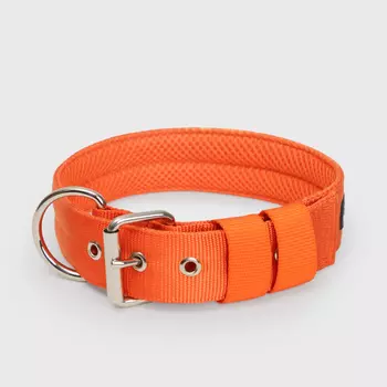 Rungo Ошейник нейлоновый для собак Classic Air, обхват шеи 48-60 см, ширина 4,5 см, оранжевый