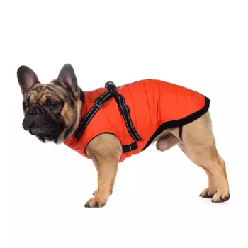 Rungo Попона теплая со шлейкой для собак крупных пород Французский бульдог 2XL оранжевый (унисекс)