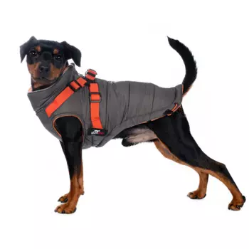 Rungo Попона теплая со шлейкой для собак крупных пород 2XL серый (унисекс)