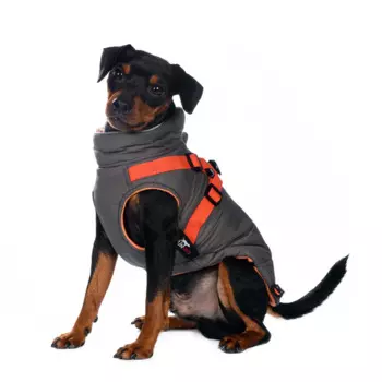 Rungo Попона теплая со шлейкой для собак мелких пород XS серый (унисекс)