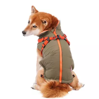 Rungo Попона для собак теплая со шлейкой зеленая 2XL