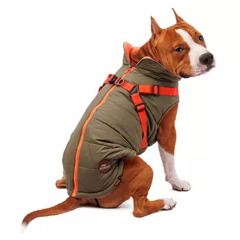 Rungo Попона для собак теплая со шлейкой зеленая 4XL