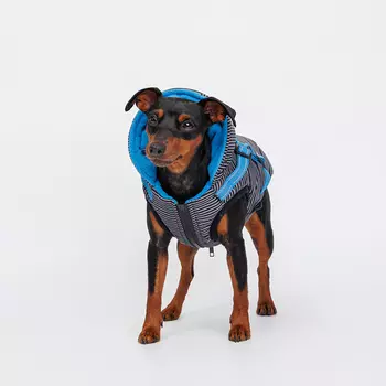 Rungo Попона теплая со шлейкой для собак, S, черная