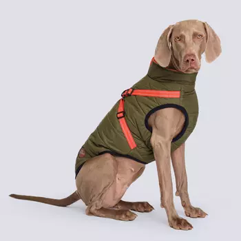 Rungo Попона теплая со шлейкой для собак, обхват шеи 53 см, обхват груди 67-76 см, длина спины 50 см, зеленая