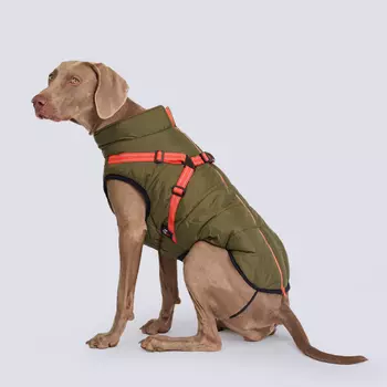 Rungo Попона теплая со шлейкой для собак, обхват шеи 56 см, обхват груди 74-83 см, длина спины 55 см, зеленая