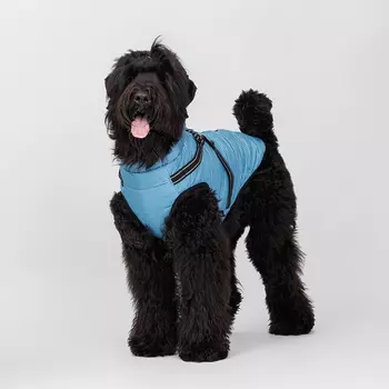 Rungo Попона теплая со шлейкой для собак, 5XL, синяя