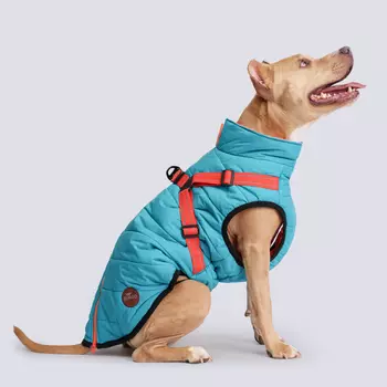 Rungo Попона теплая со шлейкой для собак, длина спины 55 см, объем груди 74-83 см, голубая