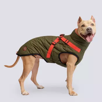 Rungo Попона теплая со шлейкой для собак, длина спины 60 см, объем груди 76-84 см, зеленая