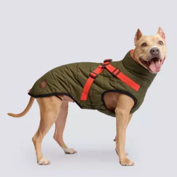 Rungo Попона теплая со шлейкой для собак, длина спины 65 см, объем груди 80-88 см, зеленая