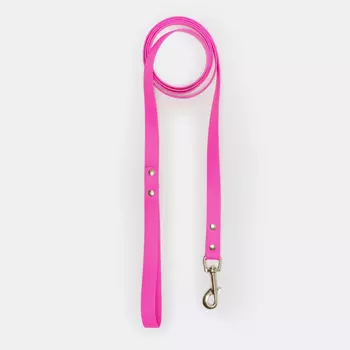 Rungo Поводок из биотана для собак, 20 мм, длина 2 м, матовый, розовый