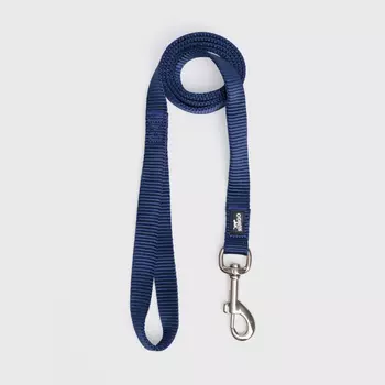 Rungo Поводок нейлоновый для кошек и собак, 120 см, ширина ремешка 2 см, синий