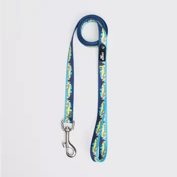 Rungo Поводок нейлоновый для кошек и собак, 120 см, ширина ремешка 1,5 см, горный голубой