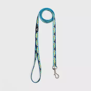 Rungo Поводок нейлоновый для кошек и собак, 120 см, ширина ремешка 1 см, горный голубой