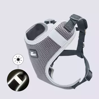 Rungo Шлейка для собак Comfort, XS, обхват груди 28-40 см, ширина ремешка 1 см, черный