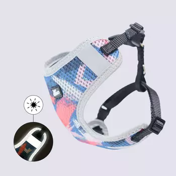 Rungo Шлейка для собак Comfort, XS, обхват груди 28-40 см, ширина ремешка 1,0 см, красный с голубым