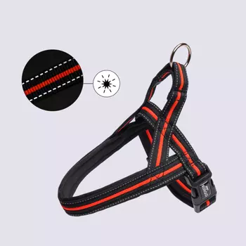 Rungo Шлейка для собак со светоотражающей полоской Norway, обхват груди 30-50 см, ширина ремешка 3,5 см, черно-оранжевый