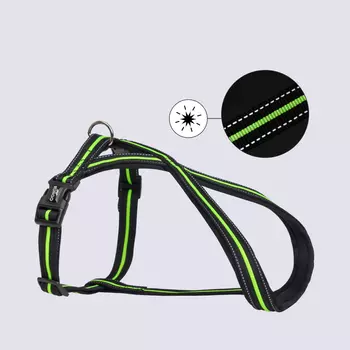 Rungo Шлейка для собак со светоотражающей полоской X-shape, M, обхват груди 45-70 см, ширина ремешка 2,3 см, черно-зеленый
