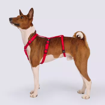 Rungo Шлейка для собак Vario Soft Fix, обхват живота 30-60 см, обхват груди 44-60 см, красный