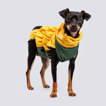 Rungo Жилетка с подкладкой из мембраны, длина спины 34 см, обхват груди 55 см, банан (мальчик)