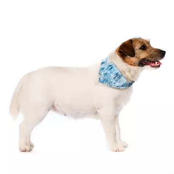 Rurri Save-the-planet Бандана для собак средних пород голубая S 62х38см