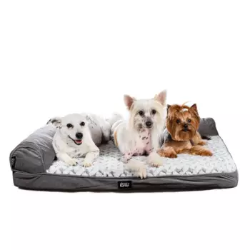 Rurri Диван Барди для кошек и собак 89x68x20см размер M