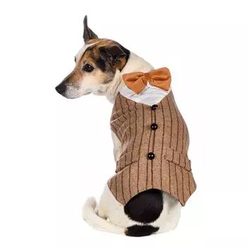 Rurri Фрак для собак бежевый XL