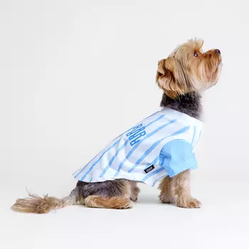 RURRI Футболка для кошек и собак, M, бело-голубая