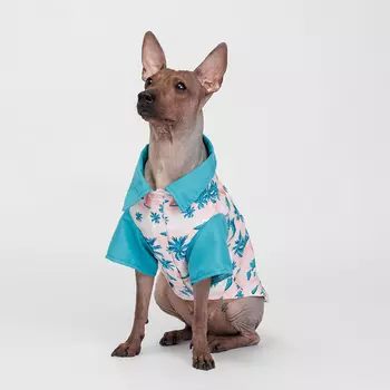 RURRI Футболка для кошек и собак, XL, голубая с принтом