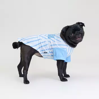 RURRI Футболка для кошек и собак, XL, бело-голубая