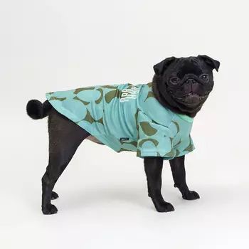 RURRI Футболка для кошек и собак, XL, зеленая