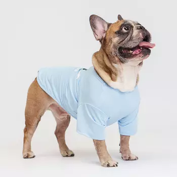 RURRI Футболка для собак Друг человека, 2XL, голубая