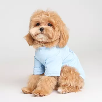 RURRI Футболка для собак Друг человека, M, голубая